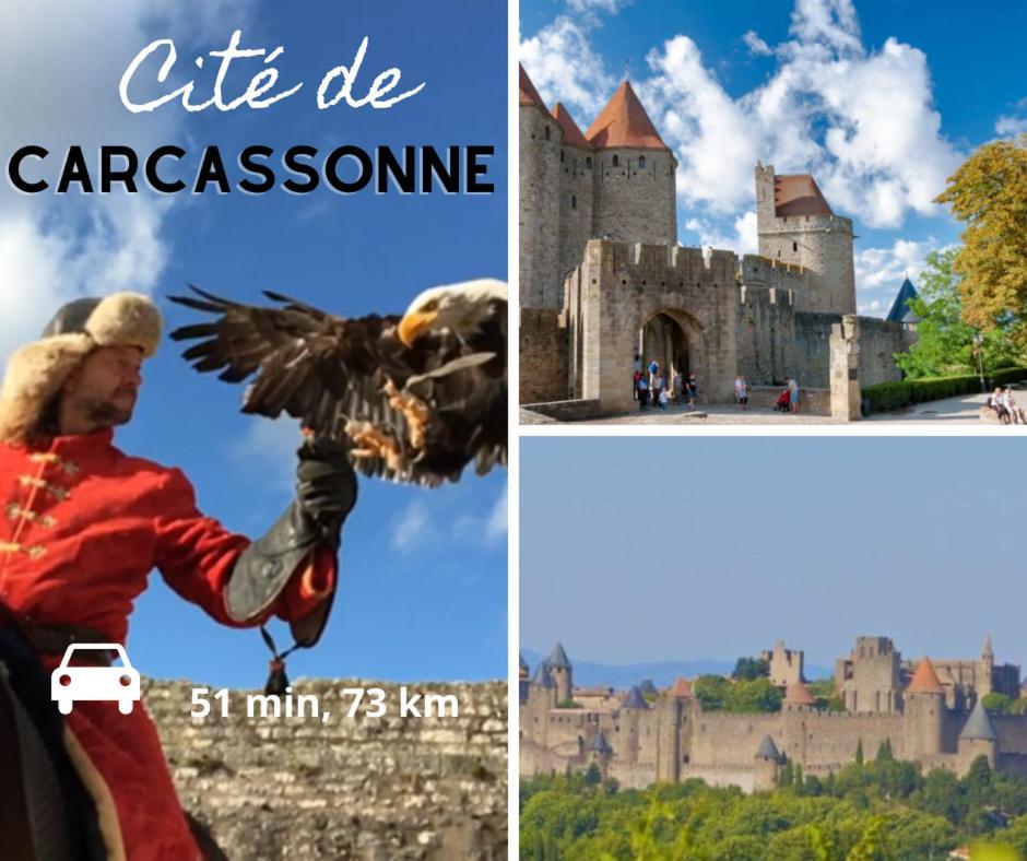 Charmant Studio Rue Droite Narbonne Ngoại thất bức ảnh
